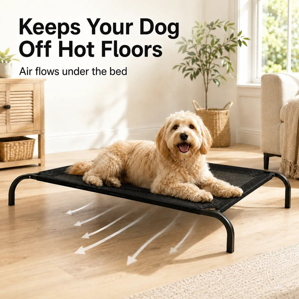 Elevated Cooling Dog Bed for Small/Medium Dogs - 36.2" L X 23.6" W X 5.9" H Single Unit, Breathable Mesh Raised Cot with Metal Frame, Airflow Boost, Indoor & Outdoor Patio Use, Balcony, Porch